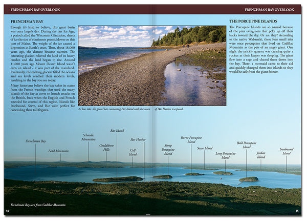 Acadia Field Guide